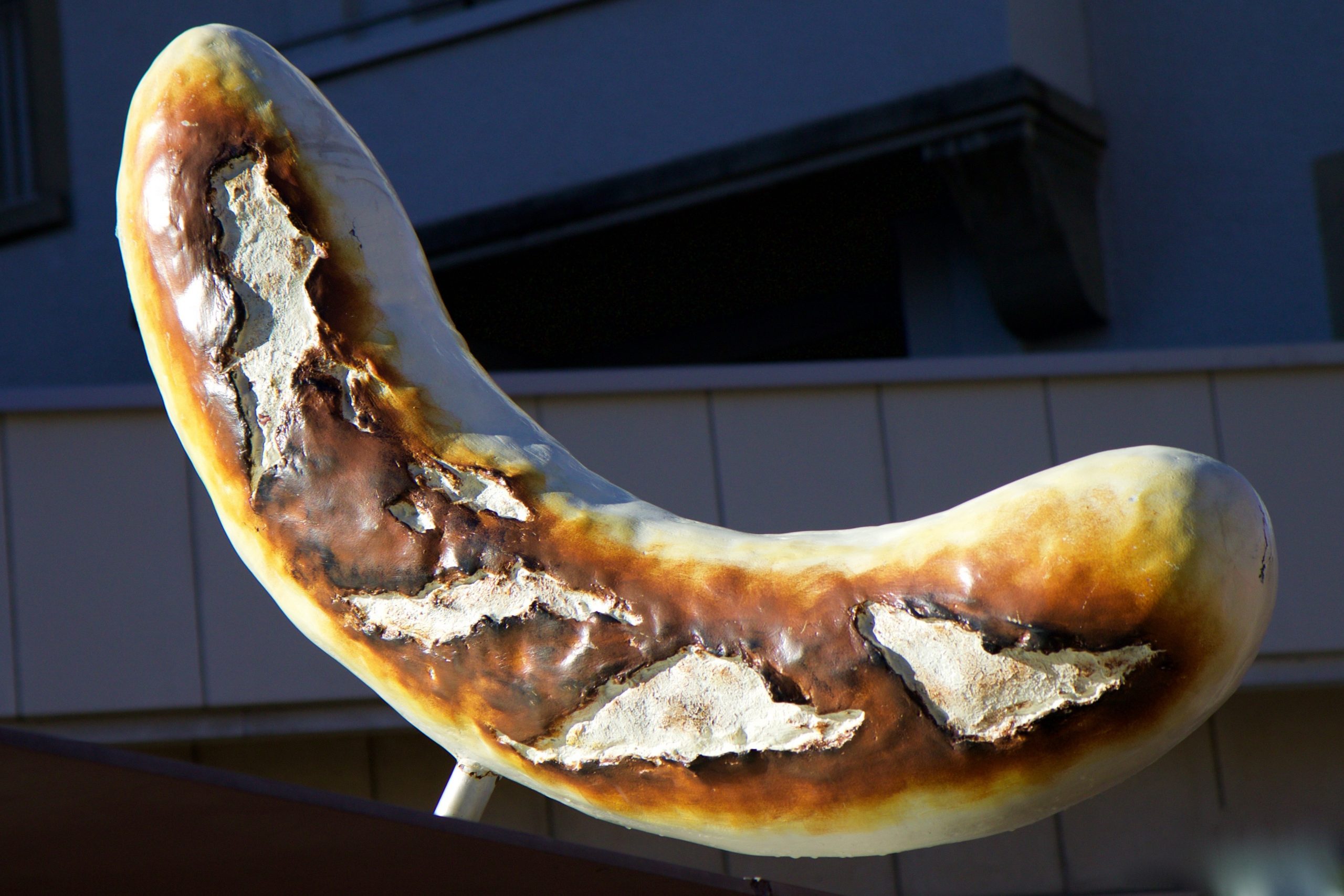 A German Bratwurst on a fork